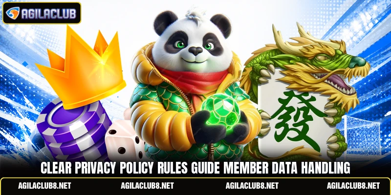 Clear privacy policy rules guide member data handling