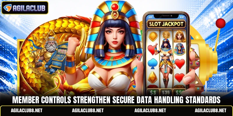 Member controls strengthen secure data handling standards