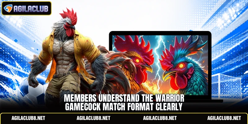 Members understand the warrior gamecock match format clearly
