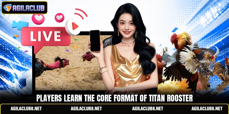 Players learn the core format of titan rooster